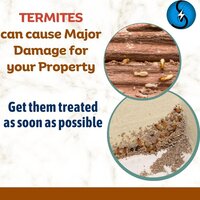 Anti Termite Soil Treatment Services