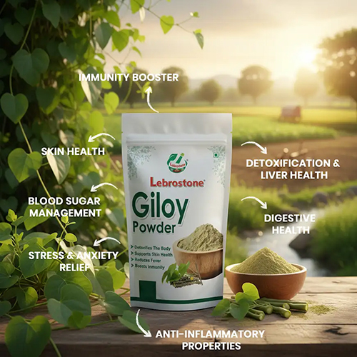 Lebrostone Giloy Powder | Ayurvedic Immunity & Wellness Herb (100g)