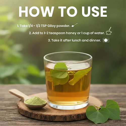 Lebrostone Giloy Powder | Ayurvedic Immunity & Wellness Herb (100g)