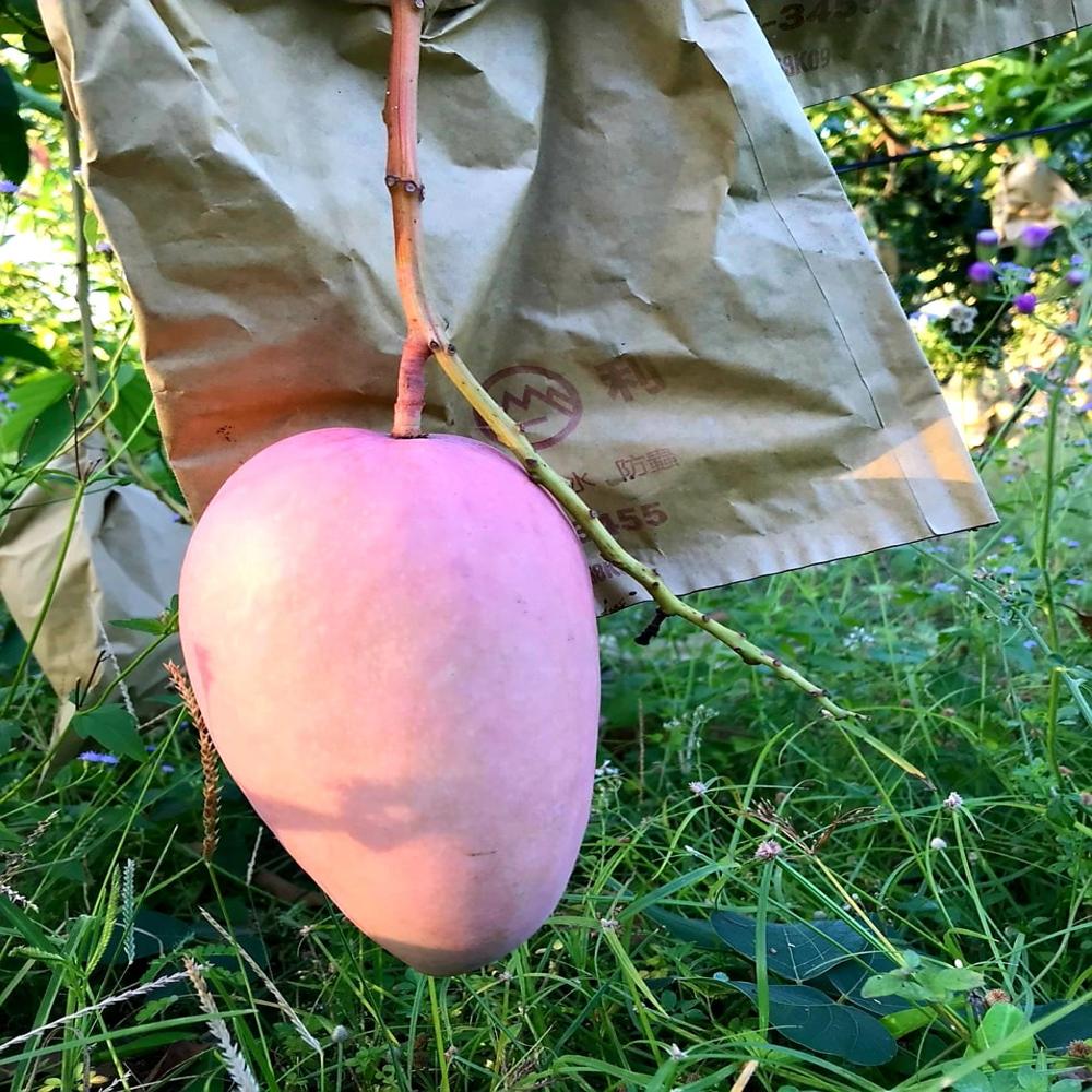 Fruit image when the bag is used