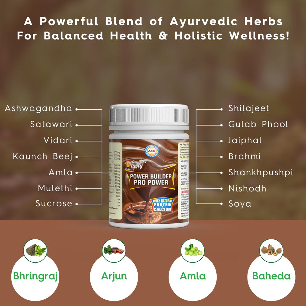 LGH Pro Power Protein Powder