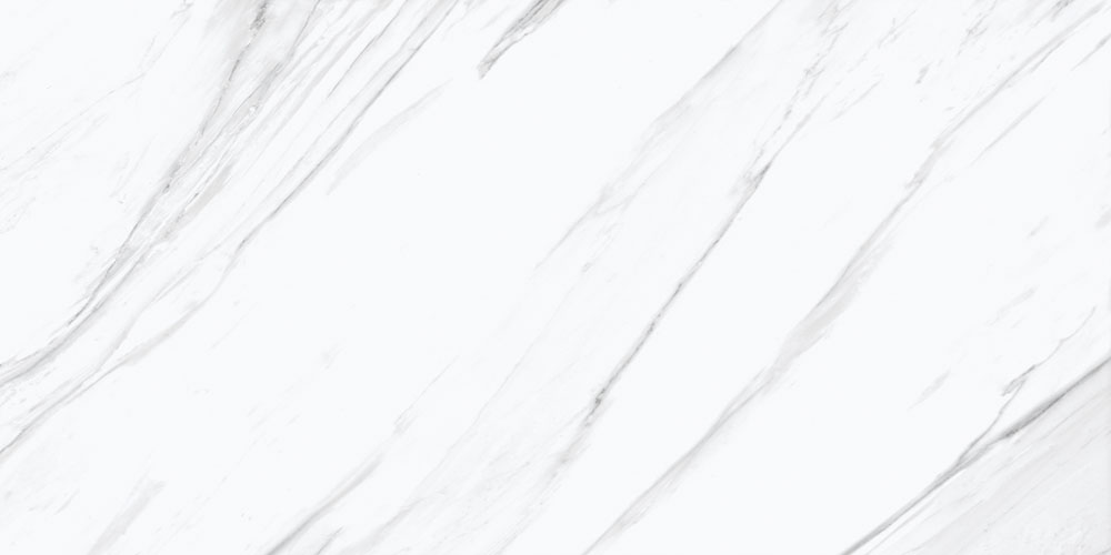 DLG - 198 60x120 porcelain tiles available in glossy satin and matt finish with superior durability