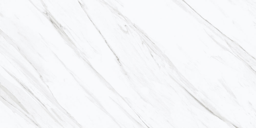 DLG - 198 60x120 porcelain tiles available in glossy satin and matt finish with superior durability