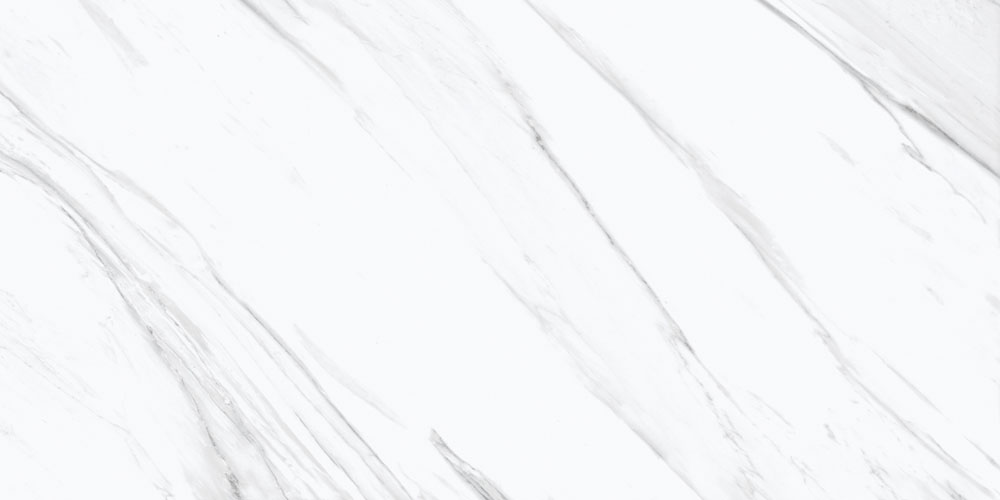 DLG - 198 60x120 porcelain tiles available in glossy satin and matt finish with superior durability