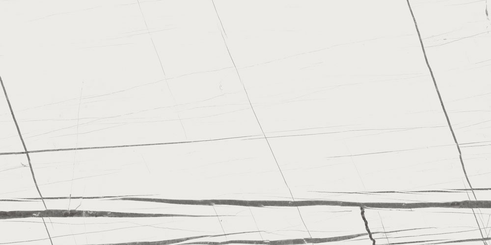 Dlg - 197 Indias Trusted Tile Manufacturer For 24x48 Inch Porcelain And Vitrified Tiles - Feature: Acid-resistant