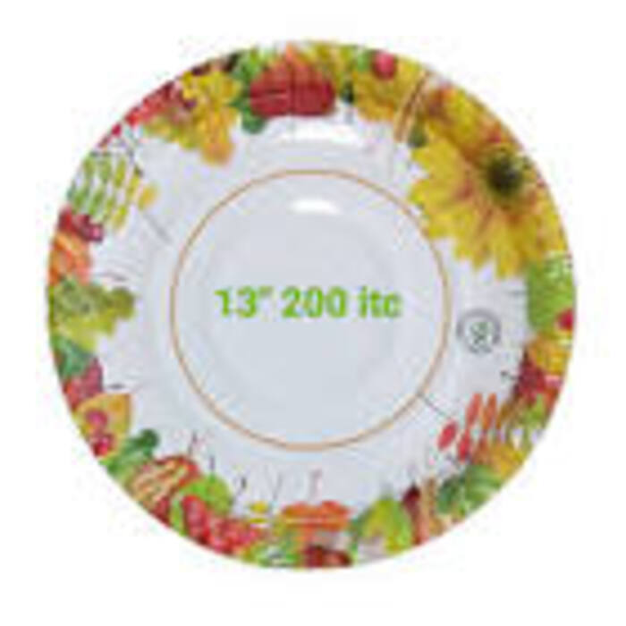 200 Itc Disposable Paper Plate - Application: Commercial