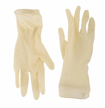 Latex Surgical Glove