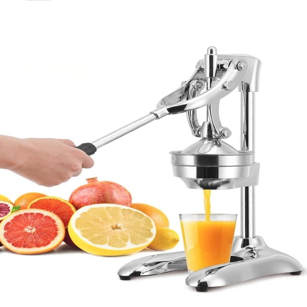 Ginger Juice Extractor Machine