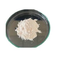 4-benzyl Albuterol Or O-benzyl Salbutamol - Cas No: 27475-14-5
