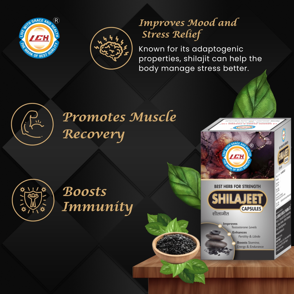 Lgh Shilajeet Capsules - Grade: Medicine