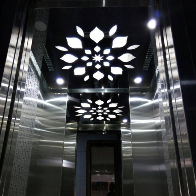 Stainless Steel Passenger Elevator