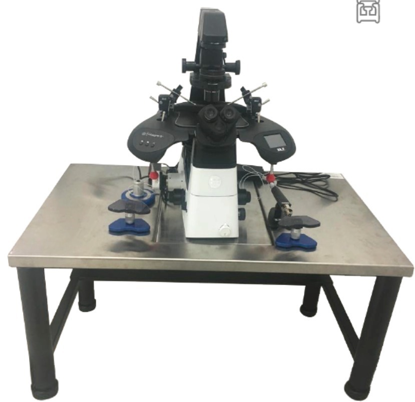 Anti-Vibration Table Ss Top - Application: Laboratory