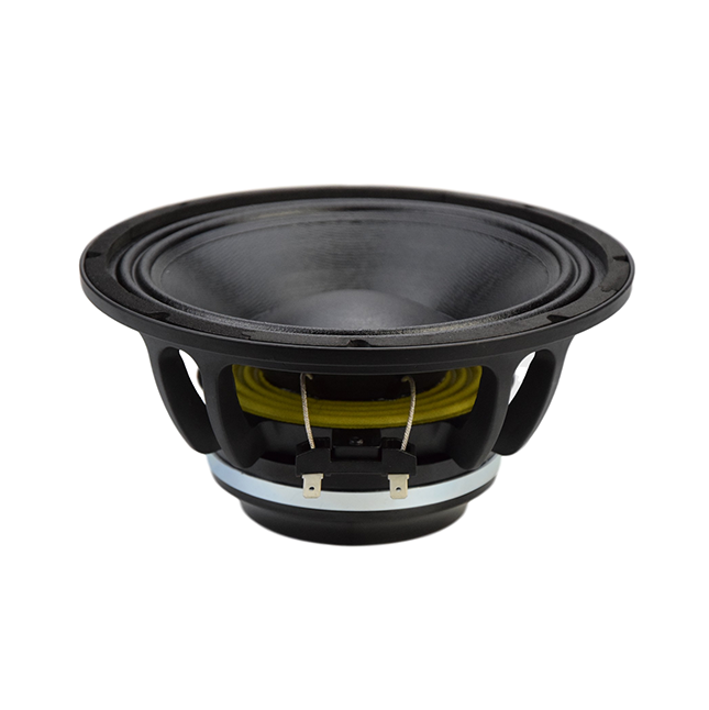 NS4.5 Speaker Driver