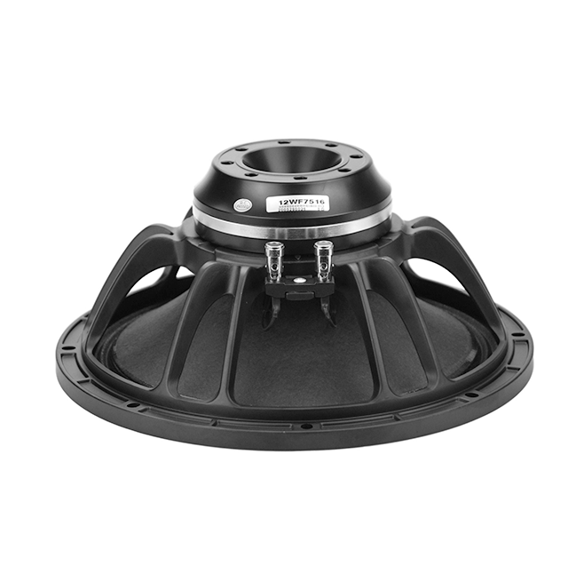 NS12 mid-bass speaker driver