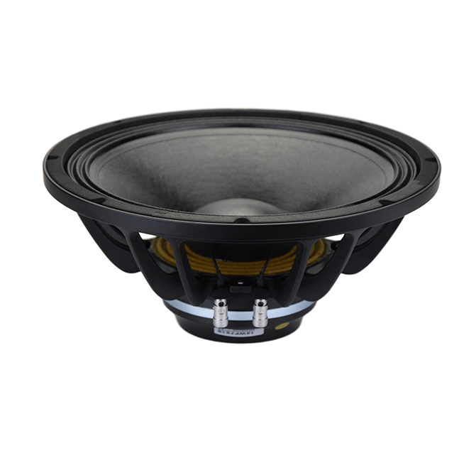 Ns12 Mid-bass Speaker Driver - Features: Rated Impedance - 8 Ohm