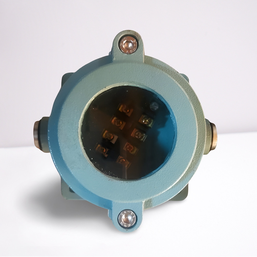 3 Di Flameproof Display Indicator - Application: Industrial