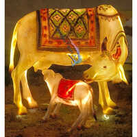 5 Fit 9 Lambai Kamdhenu Cow