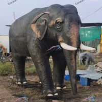 Big Elephant 11 Fit 15 Fit Lambai