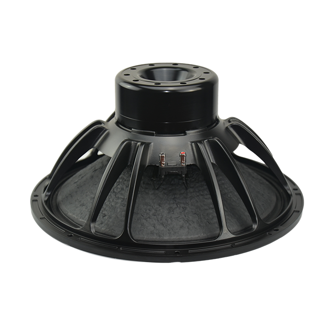 NS21 Subwoofer Driver