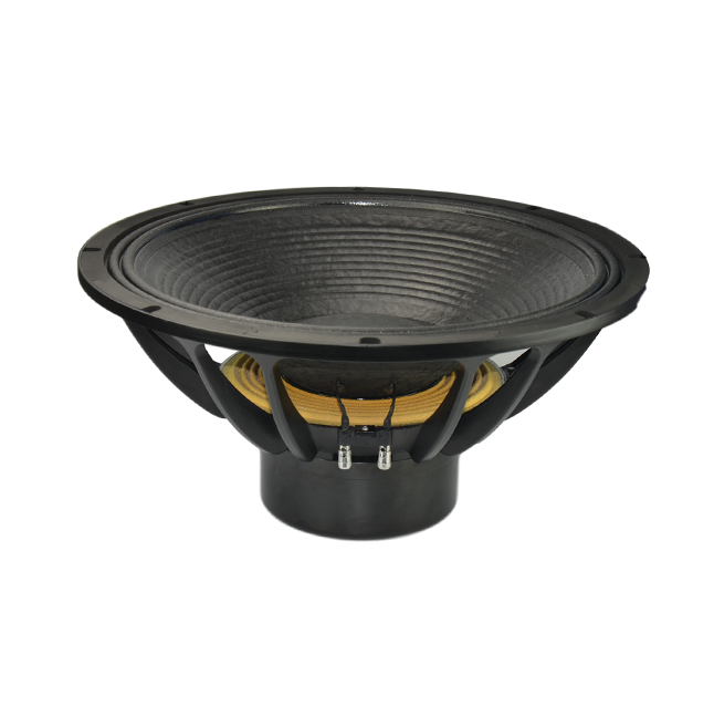 NS21 Subwoofer Driver