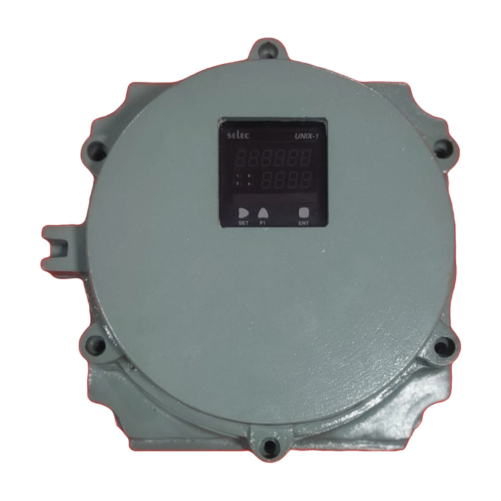 270X270X190 Flameproof Instrument Box - Paint Finishing: Smooth