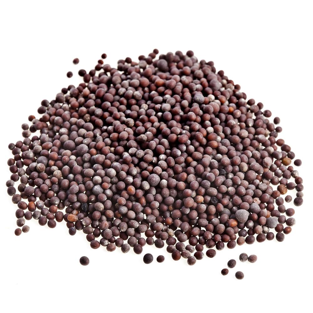 Bulk Wholesale Yellow Mustard Seeds Spices Premium Quality Natural Whole Mustard for Cooking