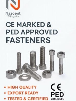 CE PED Certified Industrial Fasteners