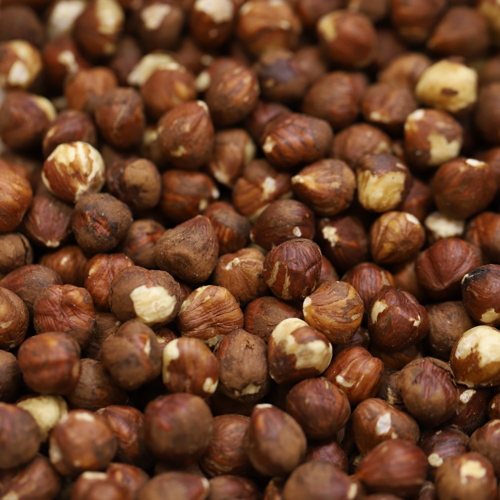 Wholesale Superior Quality Organic Grade Dried Hazelnuts Best Prices for Food Use-Raw Hazelnuts