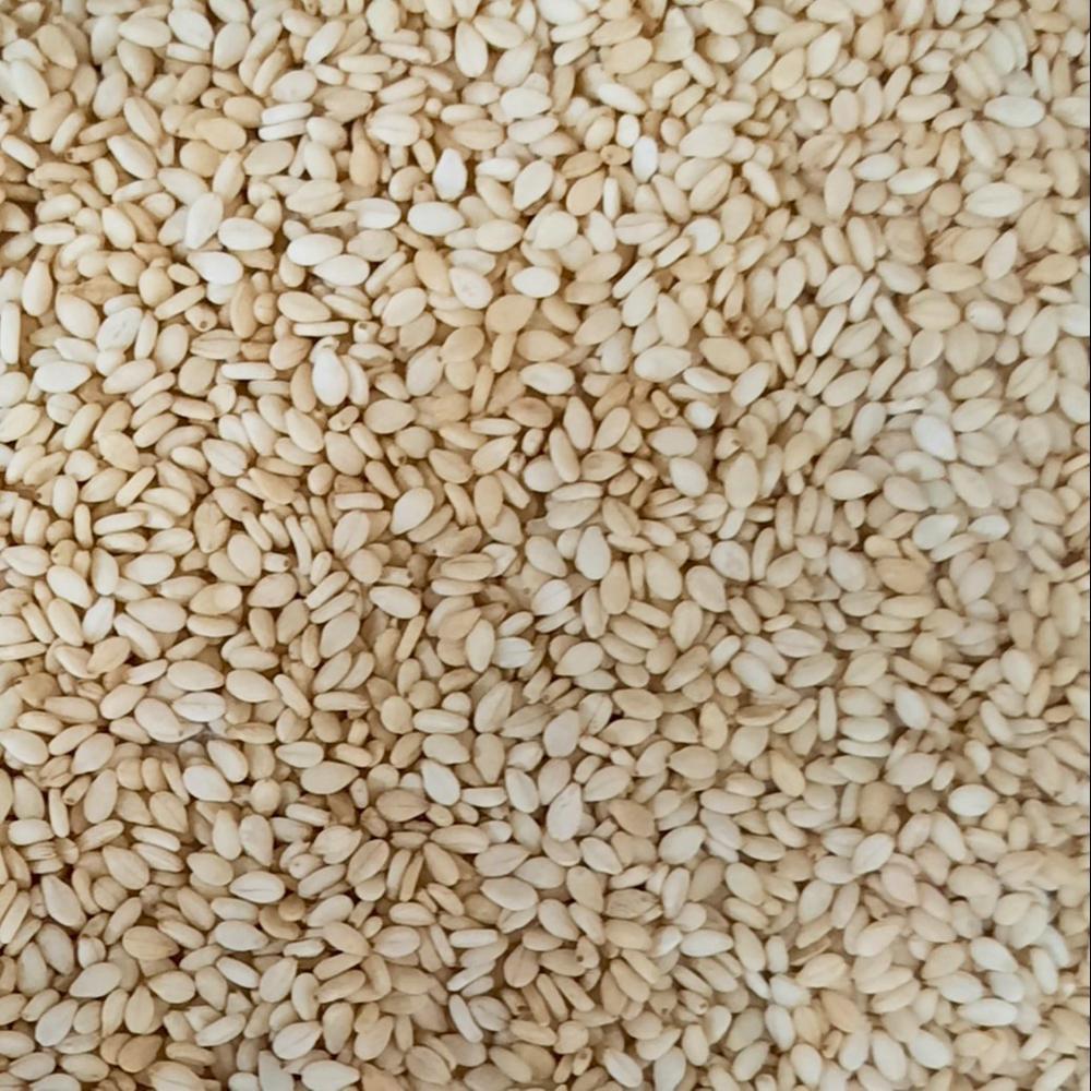 Premium Raw Dried Sesame Seeds Single Spices & Herbs For Food Use & Agriculture Product - Admixture (%): 0.5