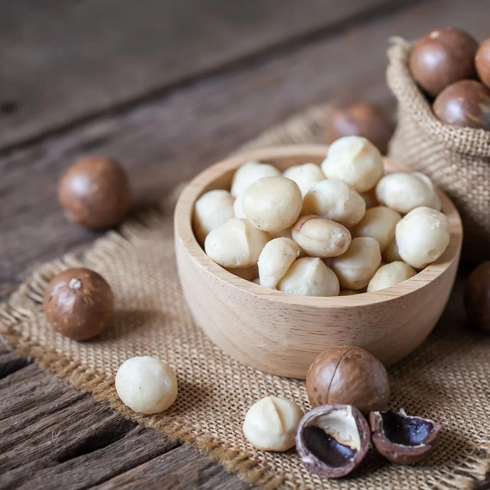 Wholesale Macadamia Nuts Kernel Natural Delicious Raw Macadamia Nuts
