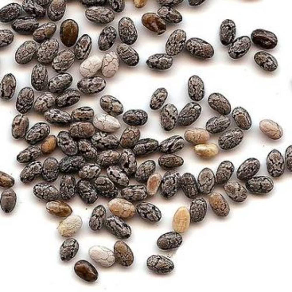 Wholesale Organic Black Chia Seeds High in Protein Cleaned Dried and Packaged in Bags 
