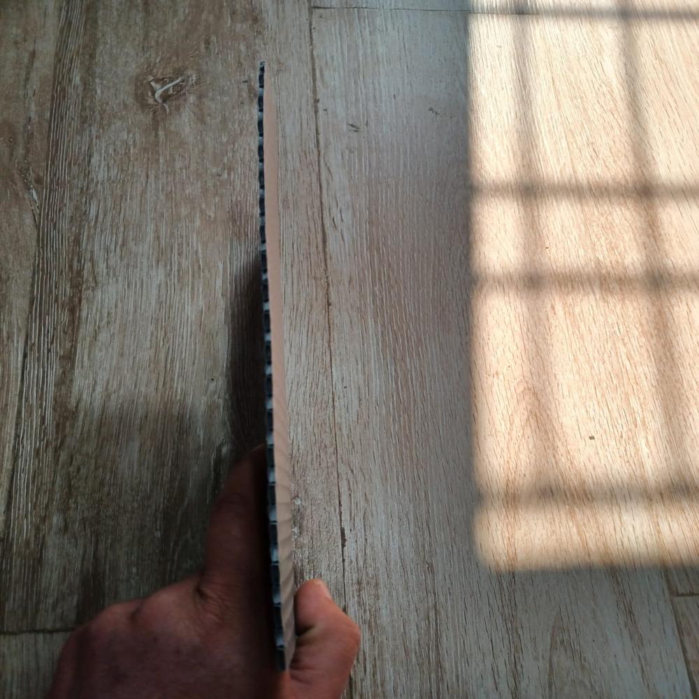 PP Bubble Guard Packaging Sheet