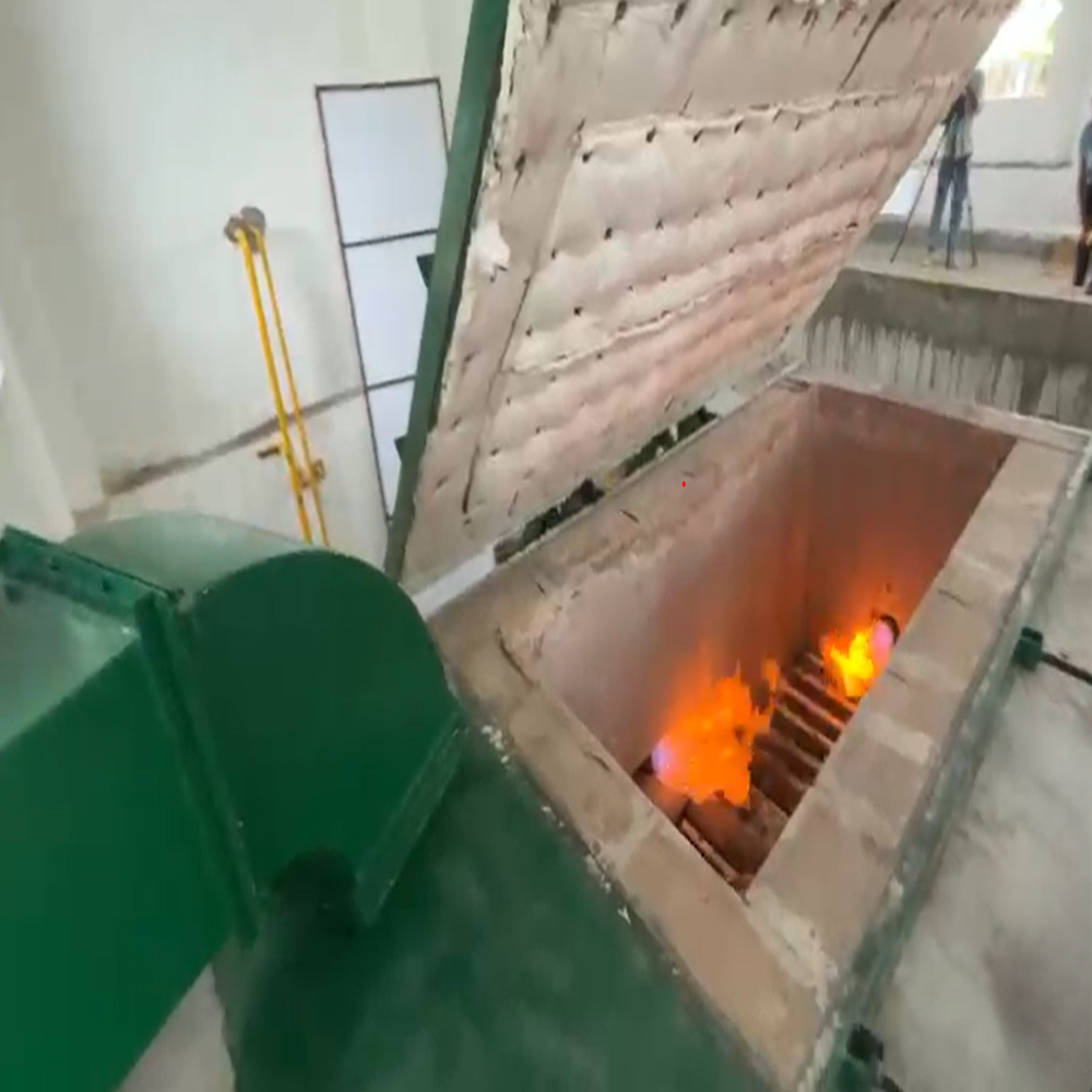 Animal Gas Incinerator - Capacity: 500-700 Kg