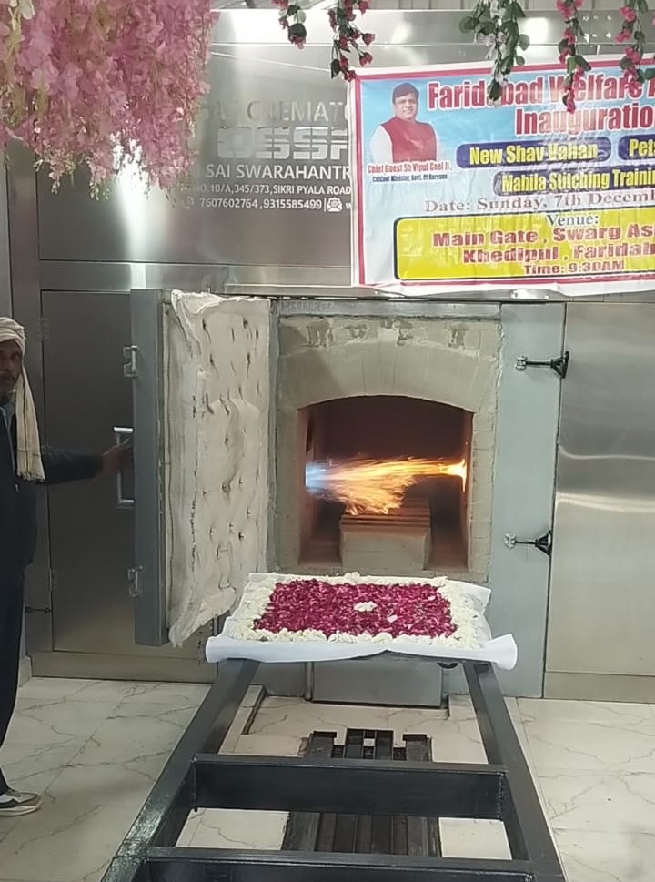 Animal Hybrid Incinerator