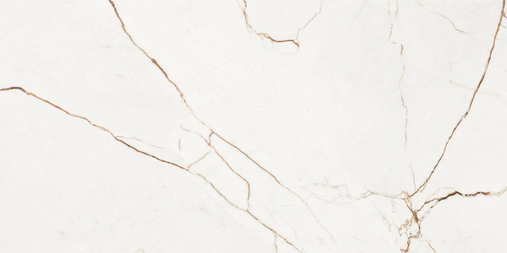 DLG -194 2x4 feet porcelain tiles with gloss and superior strength