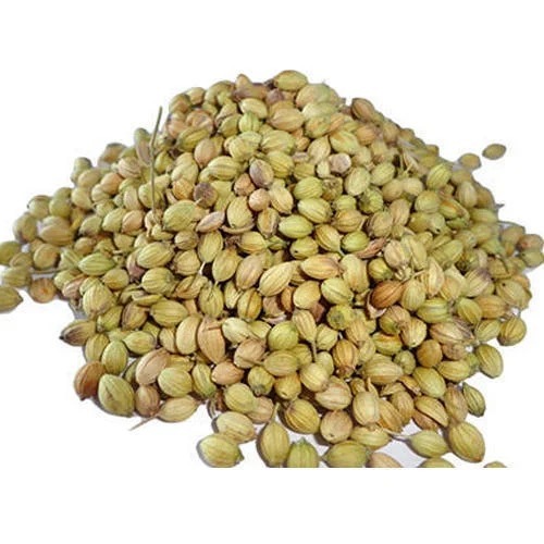 Coriander Seed - Color: Natural