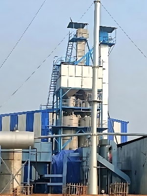 32 Ton Batch Three Stage Parboiling And Deyer Plant - Automatic Grade: Semi-Automatic