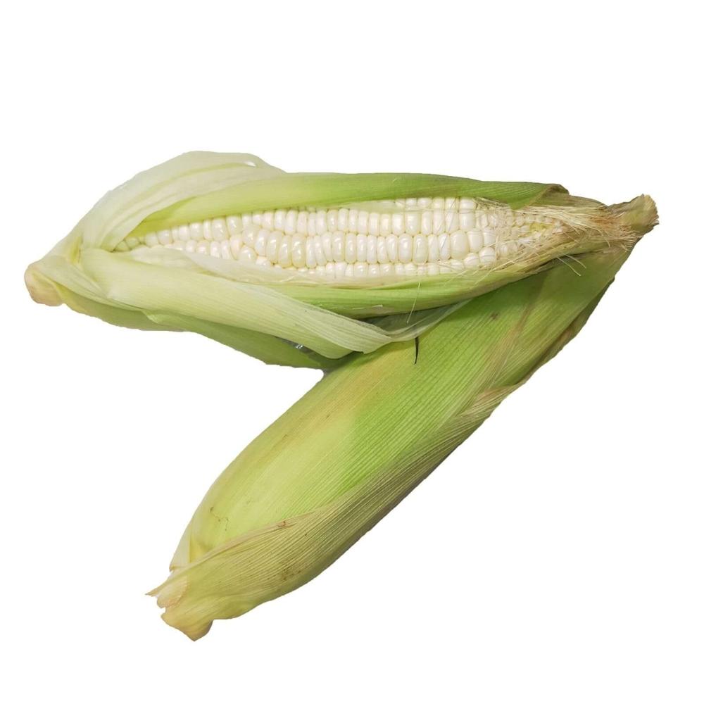 Premium Grade Dry White Corn High Quality White Maize Corn at Competitive Price