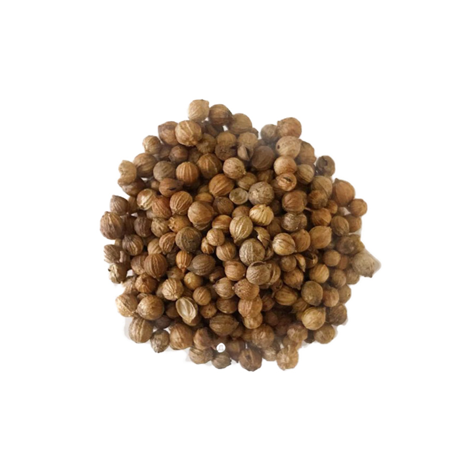 Wholesale Natural Dried Coriander Seeds Single Spices and Herbs at Factory Price