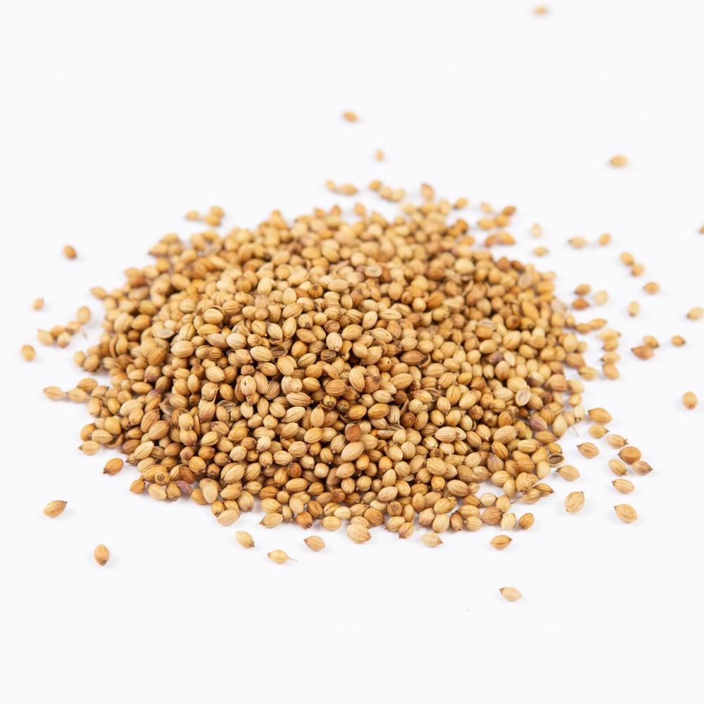 Wholesale Natural Dried Coriander Seeds Single Spices and Herbs at Factory Price