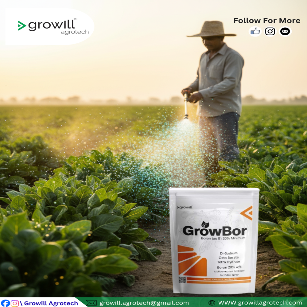 Boron 20% W/s - Application: Agriculture