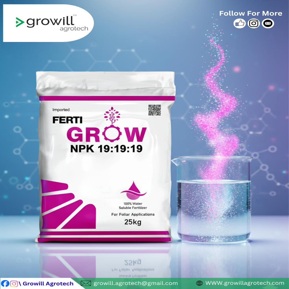 Fertilizer NPK 19:19:19