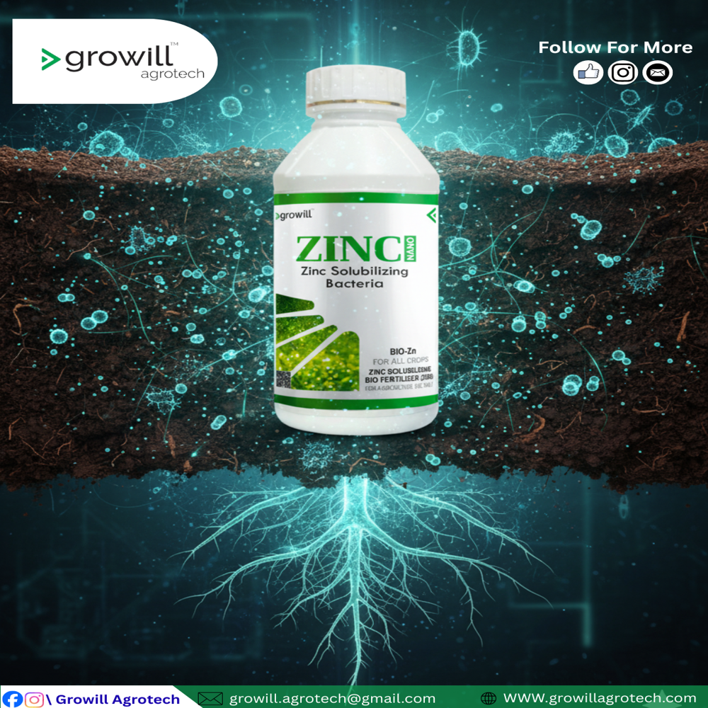 Zinc Solubilizing Bio Fertilizer (ZSB)