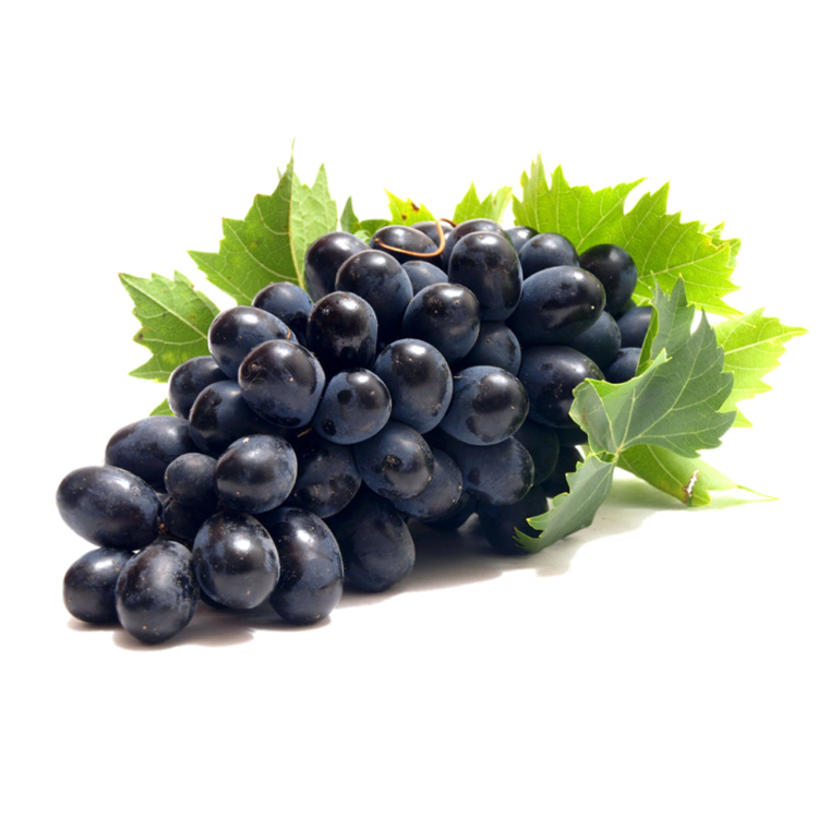 Fresh Black Grapes - Cultivation Type: Common