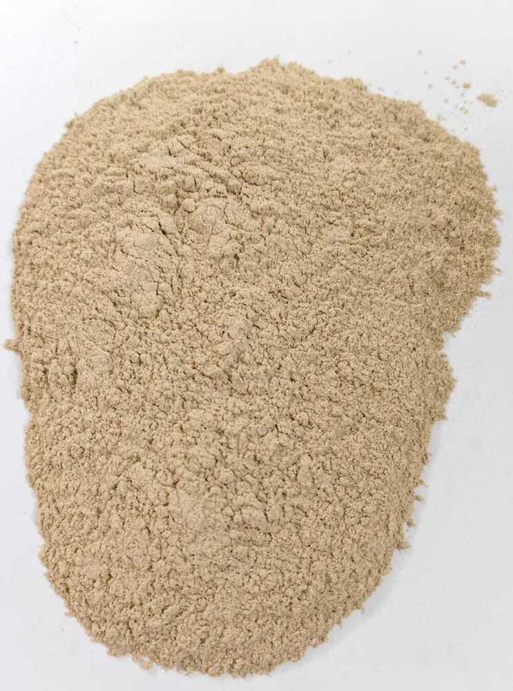 Regular Garlic Powder