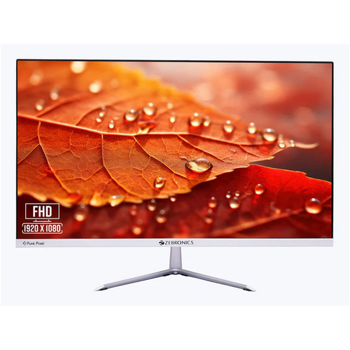 24 Inch EA124 Zebronic Monitor