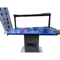 Steam Ironing Systems - Capacity: 50 Kg/hr