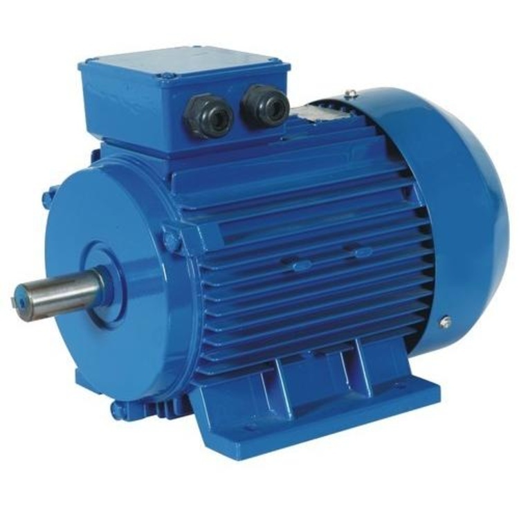 Sqirrel Cage Motor - Color: Blue