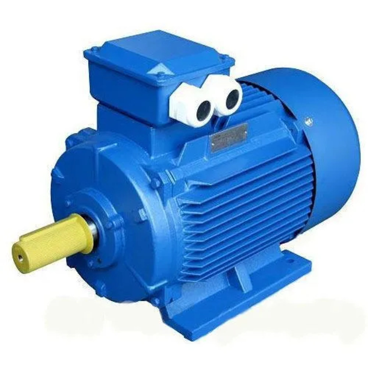 Sqirrel Cage Motor - Color: Blue