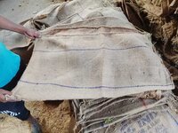 New/used Jute Gunny Bags - Color: Natural Brown